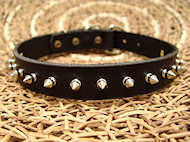 Pitbull Leather Spiked Dog Collar-1 row with Silver Spikes Pitbull Leather Spiked Dog Collar-1 row with Silver Spikes
