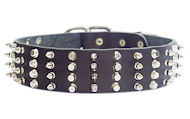 2 inch Leather Dog Collar with STUDS and SPIKES for Pitbull 2 inch Leather Dog Collar with STUDS and SPIKES for Pitbull
