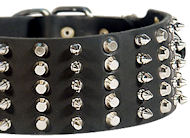 3 inch Spiked and Studded Pitbull collar 3 inch Spiked and Studded Pitbull collar