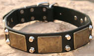 Gorgeous War Dog Leather Dog Collar- brass massive + 2 pyramids Gorgeous War Dog Leather Dog Collar- brass massive + 2 pyramids