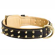 New Fashioned Leather Pitbull Collar with Goldish Rows of Spikes New Fashioned Leather Pitbull Collar with Goldish Rows of Spikes