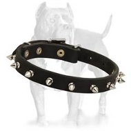 Spiked Dog Collar-Fascinating Leather Dog Collar for Pitbulls Spiked Dog Collar-Fascinating Leather Dog Collar for Pitbulls