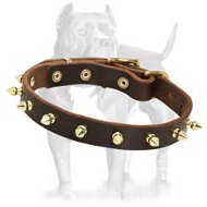 Spiked Leather Dog Collar-Luxurious Dog Collar with Handmade BRASS Spikes Spiked Leather Dog Collar-Luxurious Dog Collar with Handmade BRASS Spikes