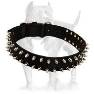 Black Colored Nylon Spiked Dog Collar - Custom Made Dog Collar With 2 Rows of Fancy Spikes Black Colored Nylon Spiked Dog Collar - Custom Made Dog Collar With 2 Rows of Fancy Spikes