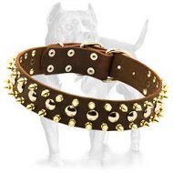 3 Rows Leather Dog Collar with Nickel Studs and Brass Spikes 3 Rows Leather Dog Collar with Nickel Studs and Brass Spikes