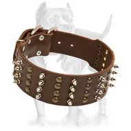 Pitbull Spiked Studded Collar/2 inch Wide Leather Collar Exclusive Presentation Pitbull Spiked Studded Collar/2 inch Wide Leather Collar Exclusive Presentation