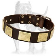 Handcrafted Leather Dog Collar with Vintage Massive Plates Handcrafted Leather Dog Collar with Vintage Massive Plates