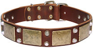 PITBULL Leather Dog Collar- brass massive + 2 pyramids PITBULL Leather Dog Collar- brass massive + 2 pyramids
