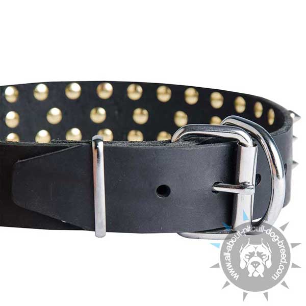 Stylish Leather Pitbull Collar with Strong Hardware