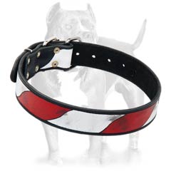 Superior buckle leather dog collar