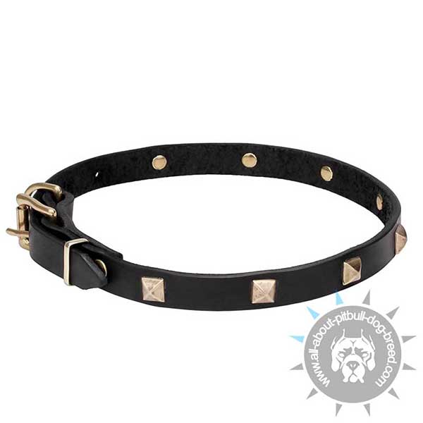 Narrow Leather Collar with Riveted Brass Decorations