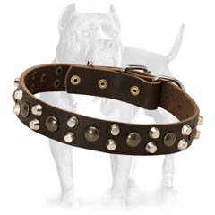 Leather dog collar with spikes and studs
