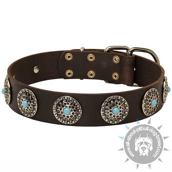 Designer leather dog collar