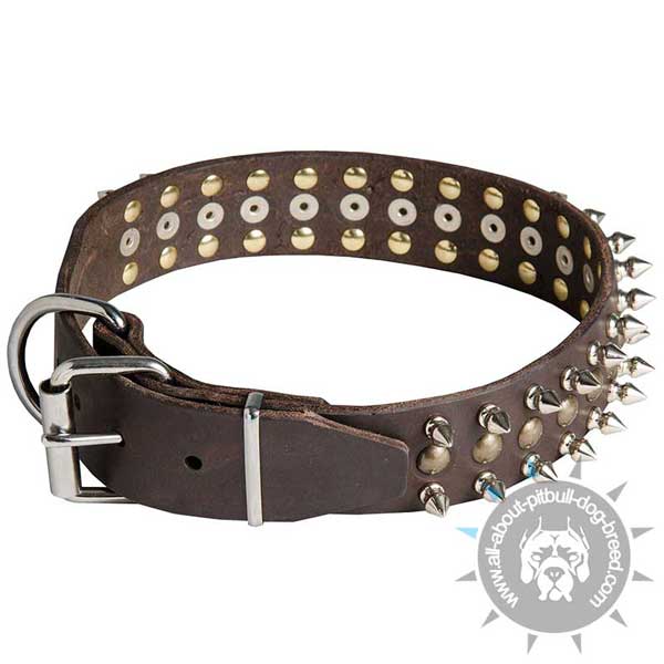 Pitbull Leather Collar with Nickel Plated Hardware