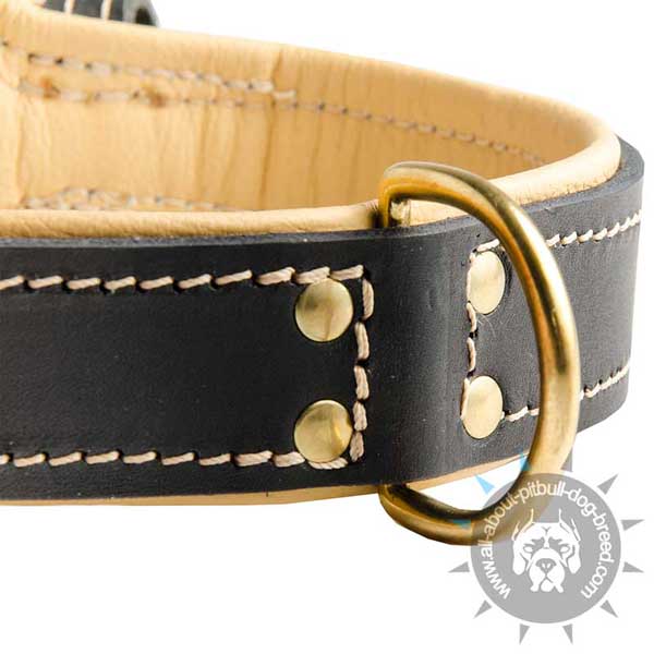 Designer leather dog collar for multifunctional use