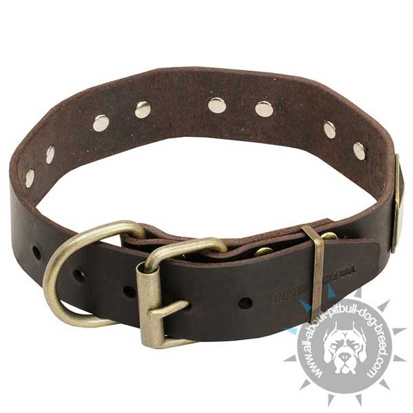 Functional leather dog collar with buckle and D-ring
