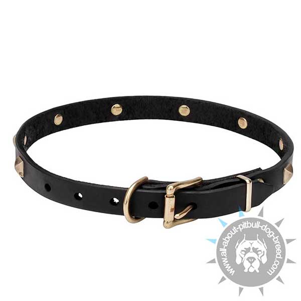 Leather Dog Collar with Brass Hardware