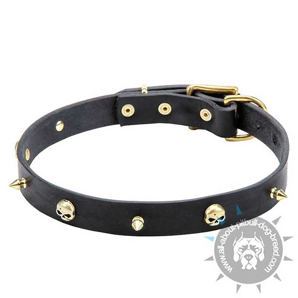 Studded Leather Collar in Buccaneer Style
