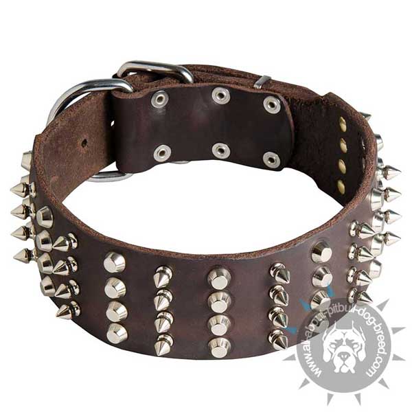 Pitbull Leather Collar with Nickel Spikes and Cones