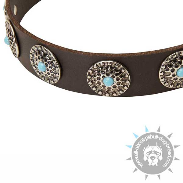 Elegant leather dog collar with blue stones