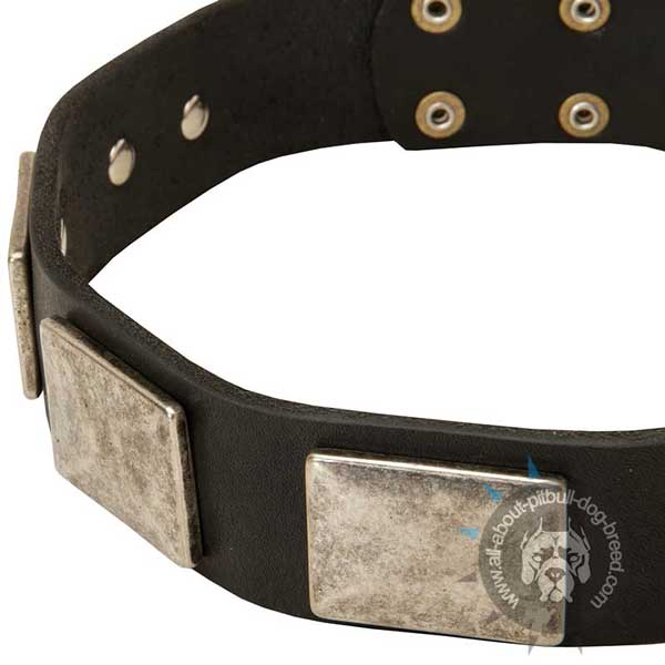 Handcrafted Leather Dog Collar with nickel-plated Plates