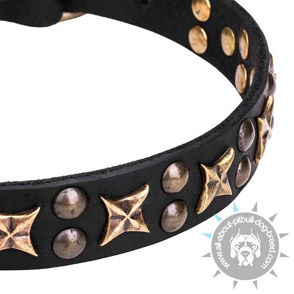 Bronze Plated Stars and Studs on Quality Leather Collar 