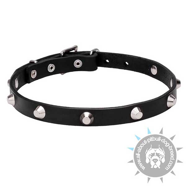 Durable Leather Collar with Rust-resistantDecoration