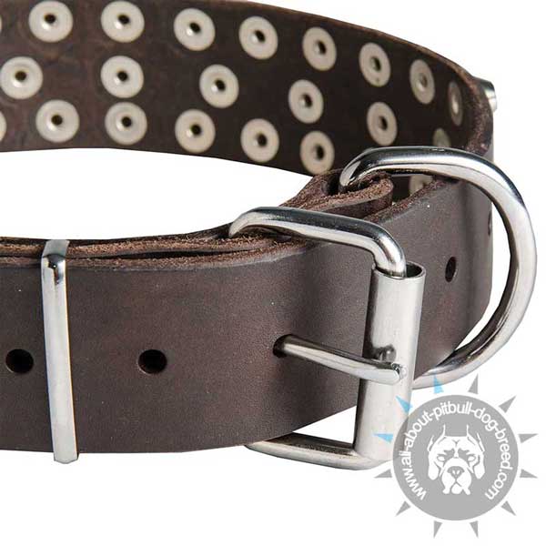 Nickel Plated Buckle and D-Ring on Leather Pitbull Collar