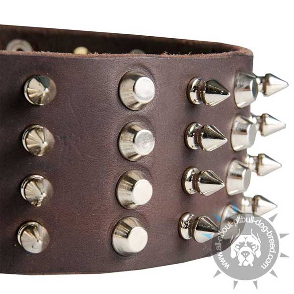 Pitbull Leather Collar with Shiny Spikes and Studs