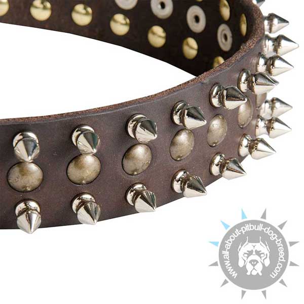 Leather Pitbull Collar with Studs and Spikes