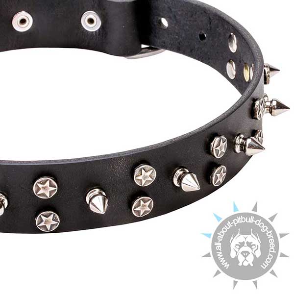 Chrome Plated Stars and Spikes on Pitbull Collar