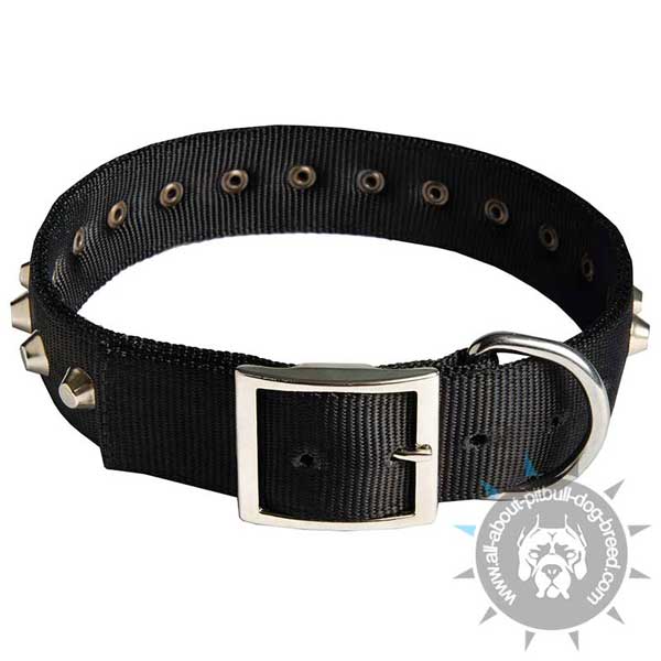 Reliable nylon dog collar with buckle and D-ring
