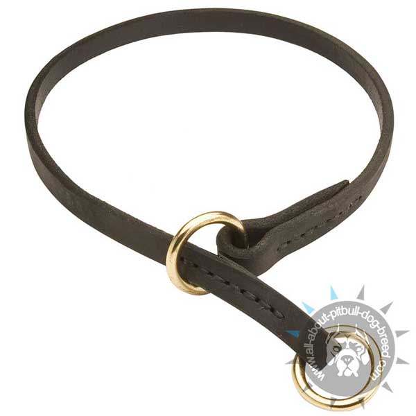 Leather Pitbull Choke Collar with Stitched Brass Rings