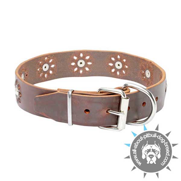 Adorned Leather Pitbull Collar with Reliable Hardware