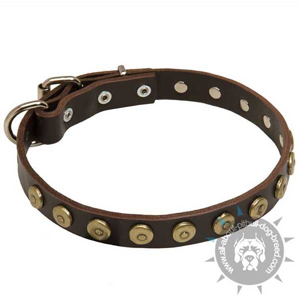 Buckled Leather Pitbull Collar Equipped with Ring for Leash