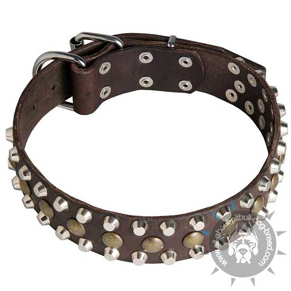 Decorated Leather Pitbull Collar for Daily Walking