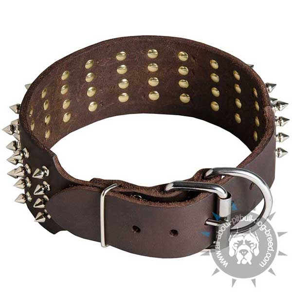 Leather Pitbull Collar with Strong Fittings