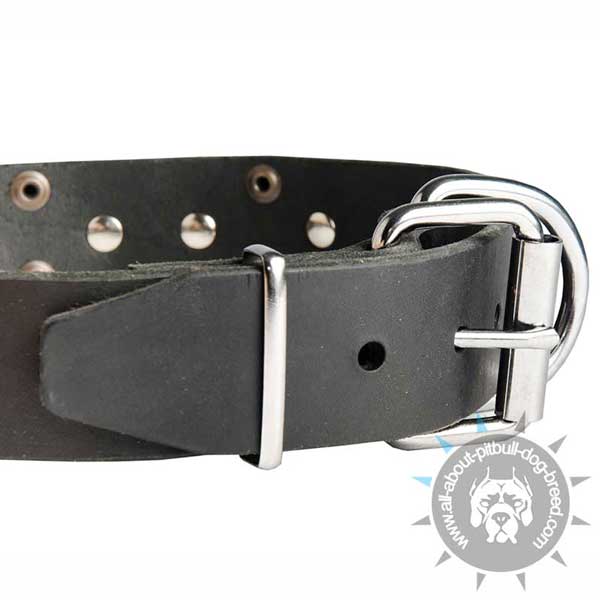 Leather Pitbull Collar Equipped with Strong Nickel Buckle
