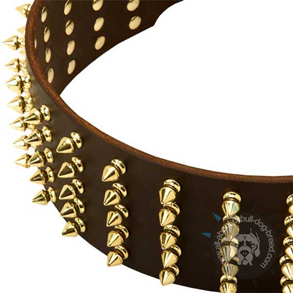 Wide Leather Pitbull Collar Spiked in 5 Rows