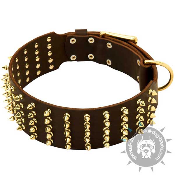 Leather Pitbull Collar Extra Wide and Spiked