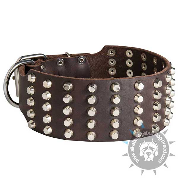 Leather Pitbull Collar Extra Wide and Studded