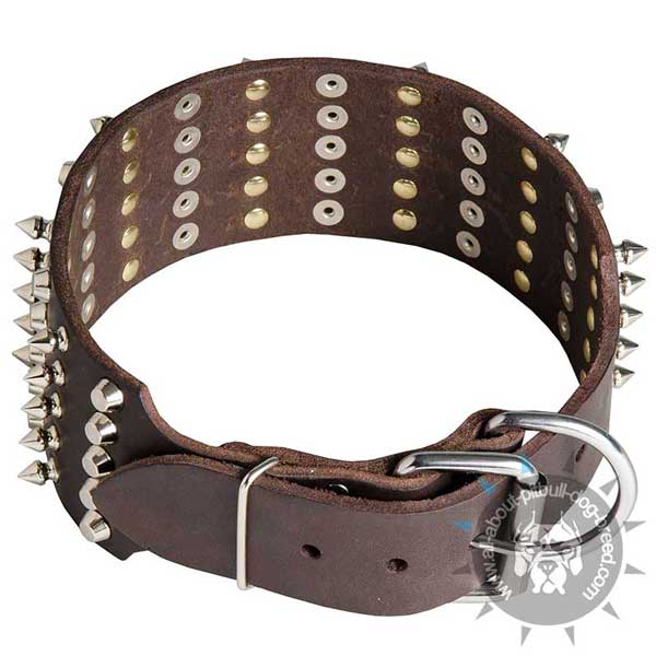 Durable Buckled Leather Pitbull Collar Extra Wide