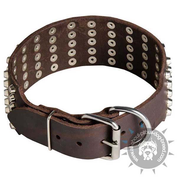 Wide Leather Pitbull Collar Spiked in 5 Rows