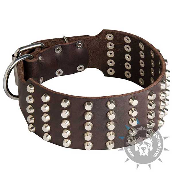 Extra Wide Leather Pitbull Collar with Riveted Hardware