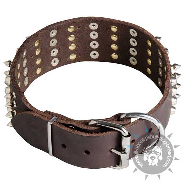 Leather Pitbull Collar with Standard Buckle
