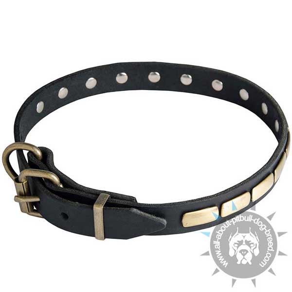 Adjustable Leather Pitbull Collar Riveted