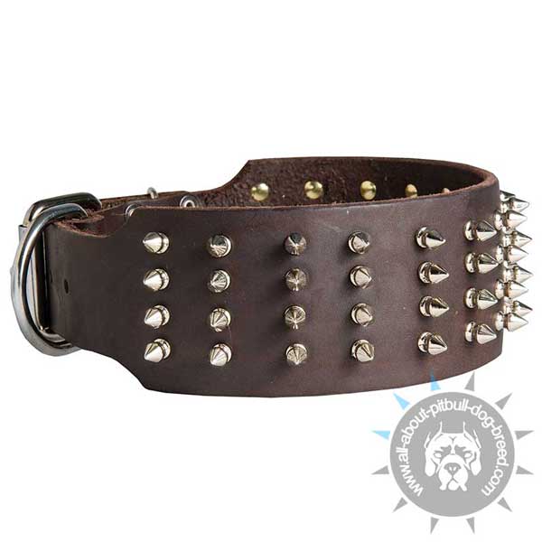 Spiked Leather Pitbull Collar