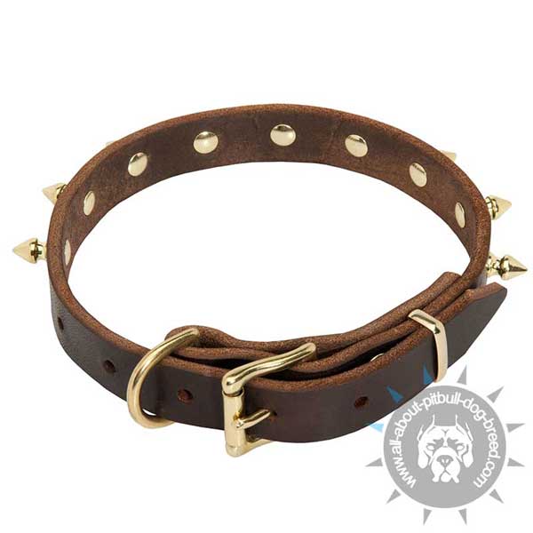 Spiked Leather Pitbull Collar with Rustproof Brass Hardware