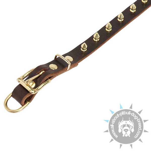 Leather Pitbull Collar Strap with Riveted Brass Fittings