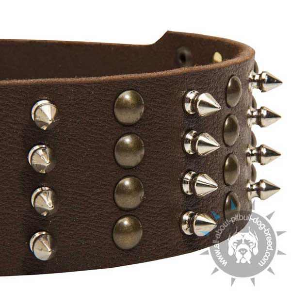 Wide Leather Pitbull Collar with 5 Rows Brass Studs and Nickel Spikes